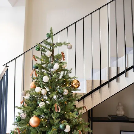 Stuart By Zzzing Gasthof